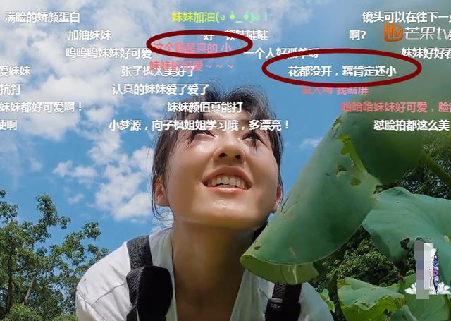 张子枫领口太低,弯腰挖藕一瞬被截图,看清后,男粉:太小了