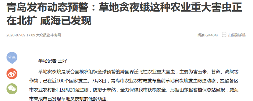 玉米|拉响警报，“幺蛾子”闯入玉米主产区！农药公司回应：有药