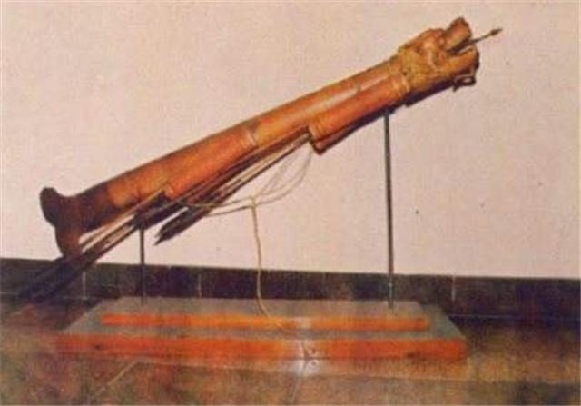 阿西尔|美国姑娘为实现“飞天梦”，花100万在背部植入翅膀，后来怎么样？