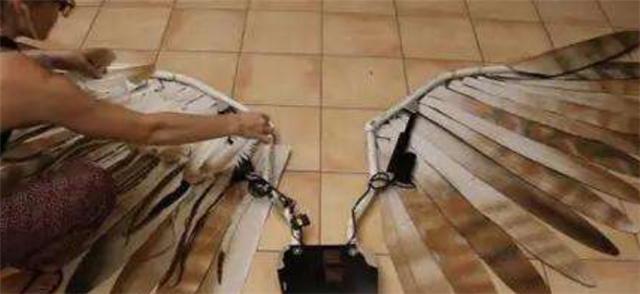 阿西尔|美国姑娘为实现“飞天梦”，花100万在背部植入翅膀，后来怎么样？