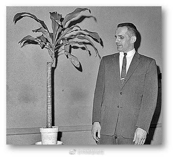 宇宙|一次普通的植物实验，得到颠覆认知的结果，甚至让人怀疑宇宙