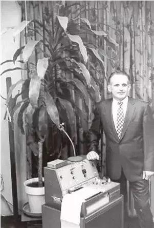 宇宙|一次普通的植物实验，得到颠覆认知的结果，甚至让人怀疑宇宙