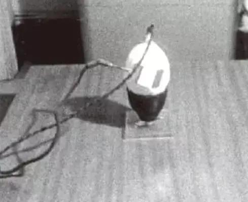 宇宙|一次普通的植物实验，得到颠覆认知的结果，甚至让人怀疑宇宙