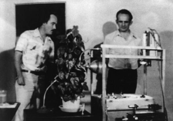 宇宙|一次普通的植物实验，得到颠覆认知的结果，甚至让人怀疑宇宙