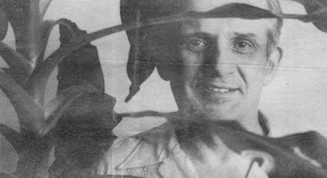 宇宙|一次普通的植物实验，得到颠覆认知的结果，甚至让人怀疑宇宙