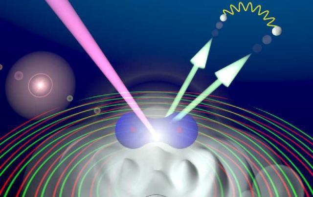宇宙|一次普通的植物实验，得到颠覆认知的结果，甚至让人怀疑宇宙