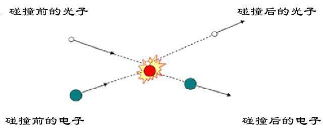 宇宙|一次普通的植物实验，得到颠覆认知的结果，甚至让人怀疑宇宙