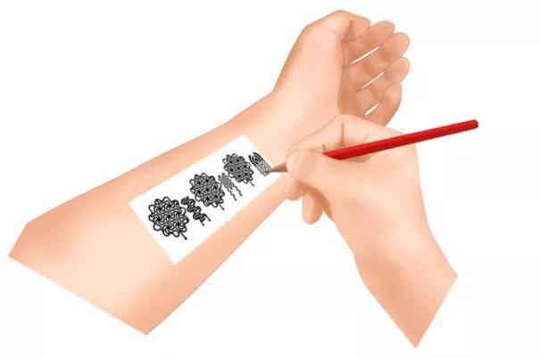 水鸟|为什么有水的地方就有鱼？真相藏在水鸟的便便里