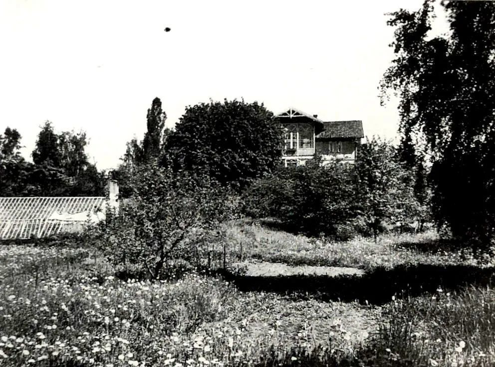 爱德华 · 蒙克|蒙克：《爱德华·蒙克》