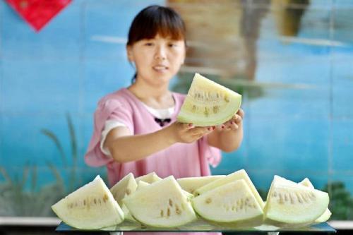 西瓜|见过白皮白瓤白籽的西瓜吗？河北一地特产，曾是贡品现却无人知晓