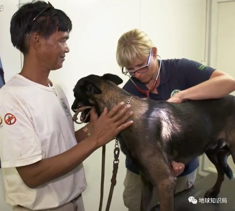 地雷|柬埔寨，一个踩在地雷上的国家