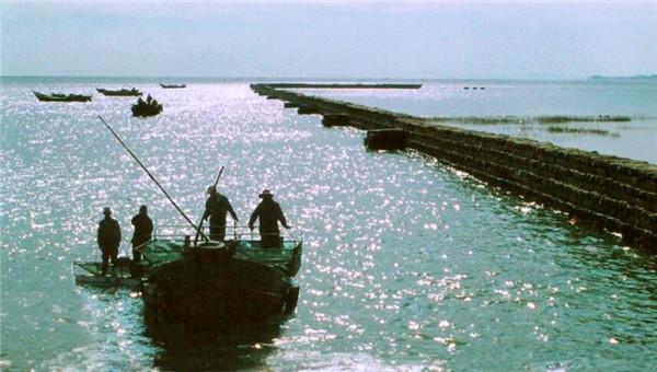 沧州铁狮子|“铁狮子”重达32吨，屹立千年不倒，却倒在专家自作聪明的保护上