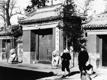 齐白石|齐白石画的一只怪鸟卖了4.2亿，到底是在卖画还是卖人？