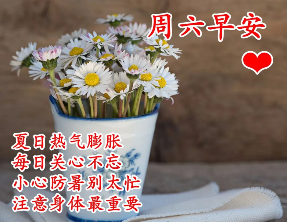 早上好图片大全表情包 腾讯新闻