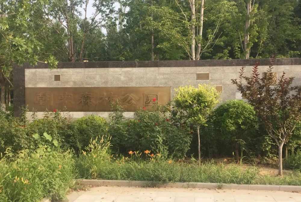 公园|朝阳这里又多一个免费遛娃的宝藏级公园～人少还有很多娱乐设施！