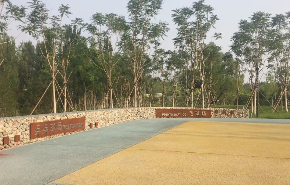 公园|朝阳这里又多一个免费遛娃的宝藏级公园～人少还有很多娱乐设施！