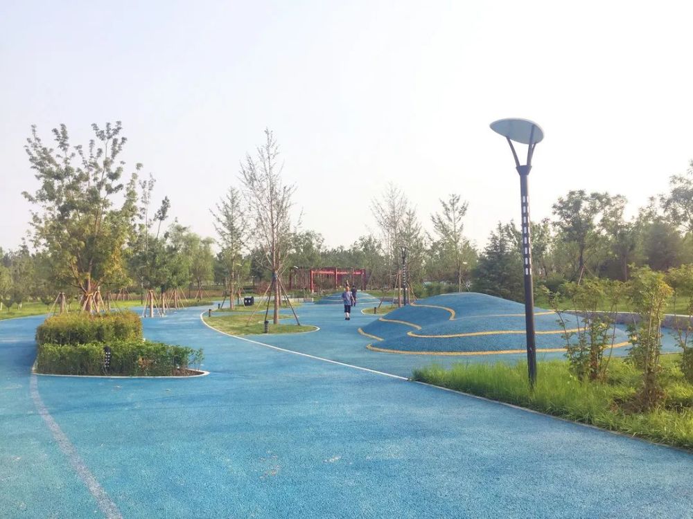 公园|朝阳这里又多一个免费遛娃的宝藏级公园～人少还有很多娱乐设施！