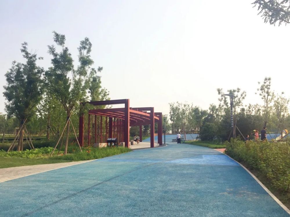 公园|朝阳这里又多一个免费遛娃的宝藏级公园～人少还有很多娱乐设施！