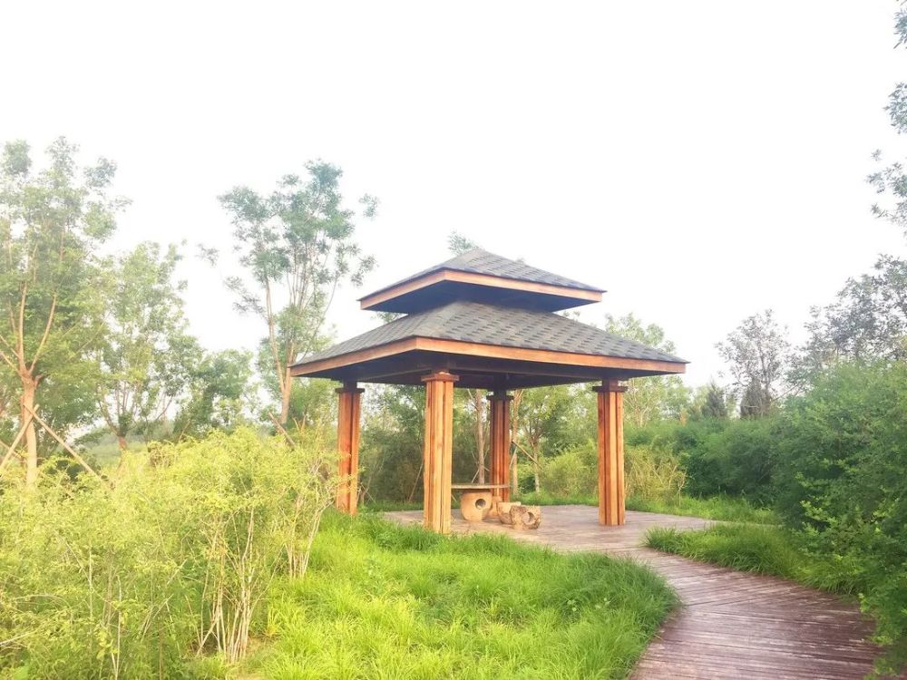 公园|朝阳这里又多一个免费遛娃的宝藏级公园～人少还有很多娱乐设施！