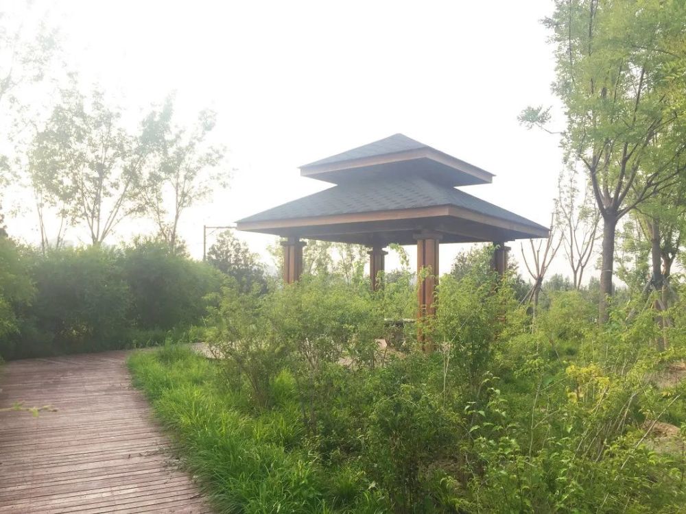 公园|朝阳这里又多一个免费遛娃的宝藏级公园～人少还有很多娱乐设施！