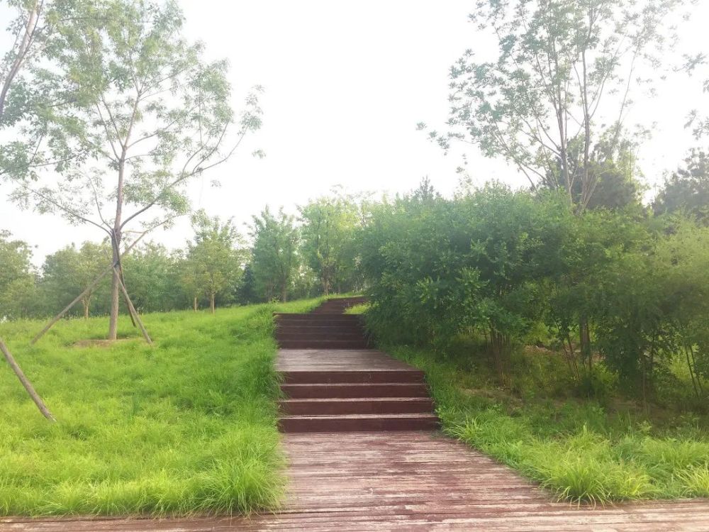 公园|朝阳这里又多一个免费遛娃的宝藏级公园～人少还有很多娱乐设施！