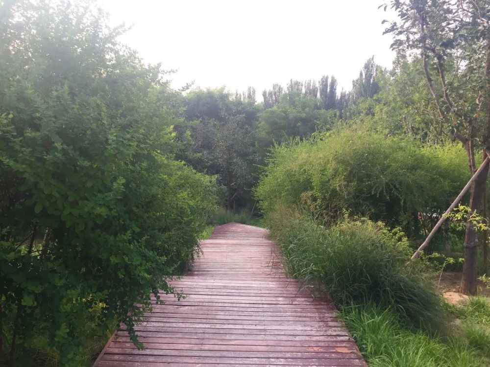 公园|朝阳这里又多一个免费遛娃的宝藏级公园～人少还有很多娱乐设施！