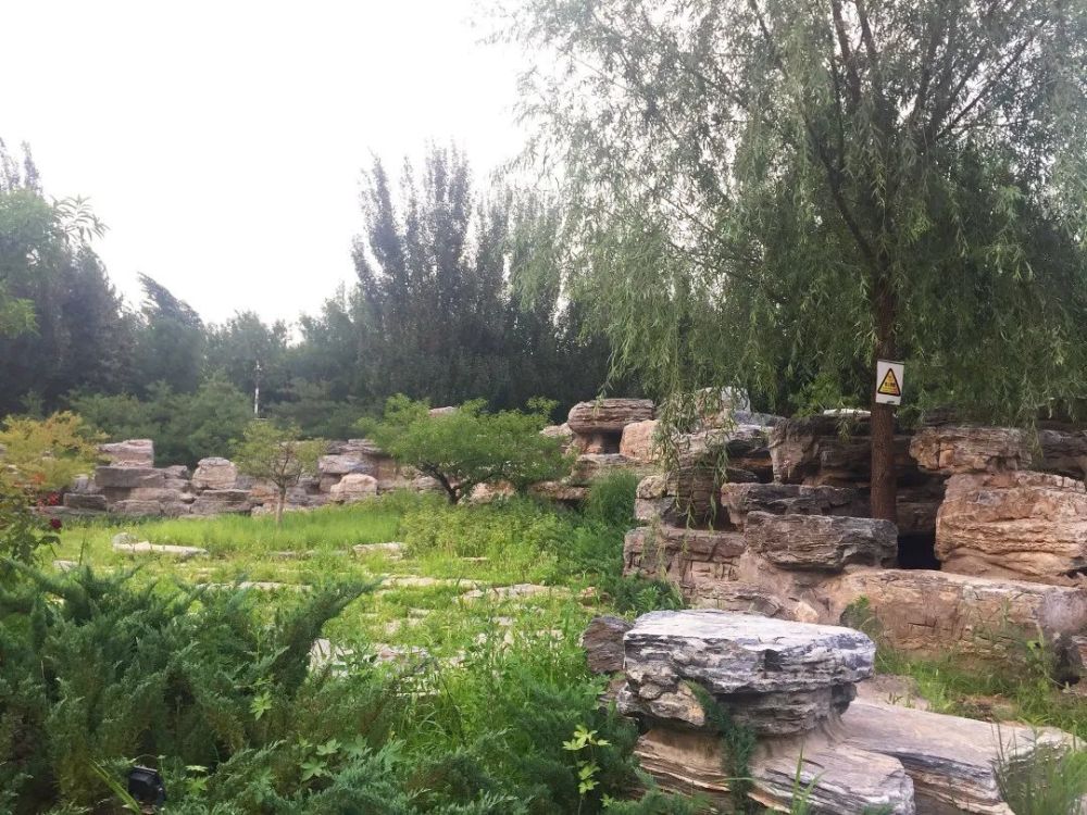 公园|朝阳这里又多一个免费遛娃的宝藏级公园～人少还有很多娱乐设施！