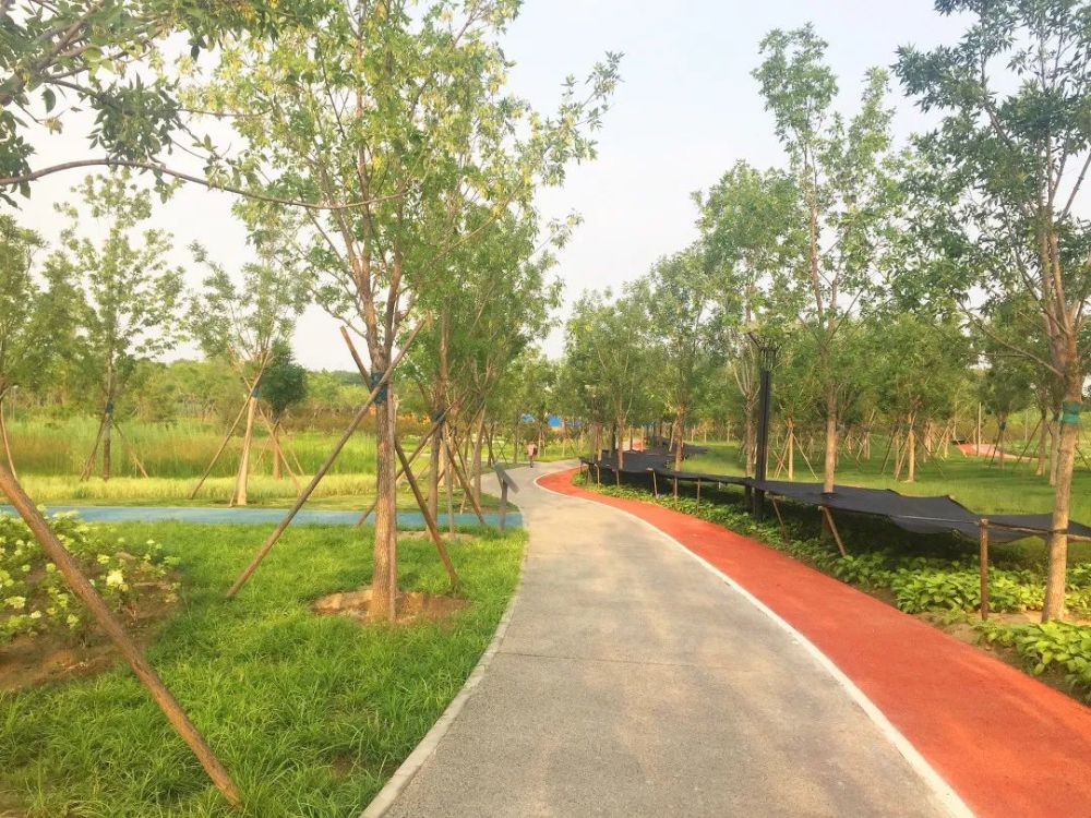 公园|朝阳这里又多一个免费遛娃的宝藏级公园～人少还有很多娱乐设施！