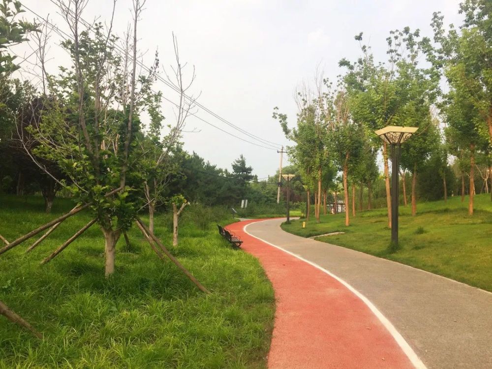 公园|朝阳这里又多一个免费遛娃的宝藏级公园～人少还有很多娱乐设施！