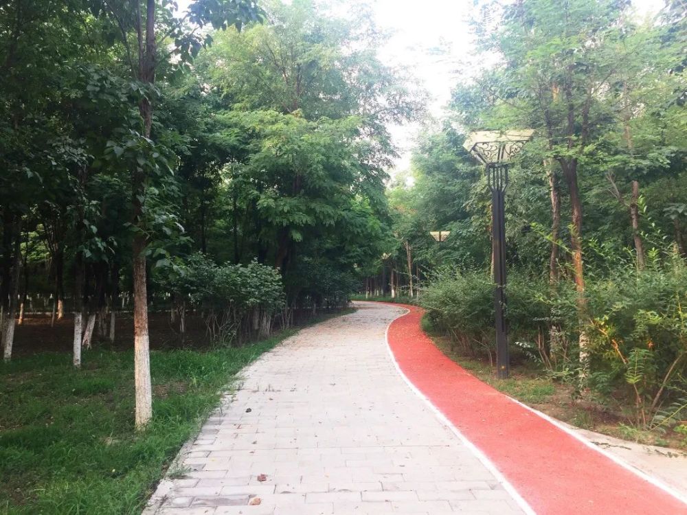 公园|朝阳这里又多一个免费遛娃的宝藏级公园～人少还有很多娱乐设施！