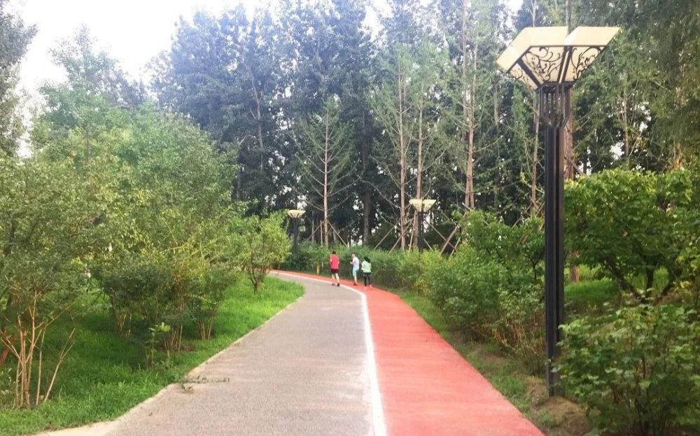 公园|朝阳这里又多一个免费遛娃的宝藏级公园～人少还有很多娱乐设施！