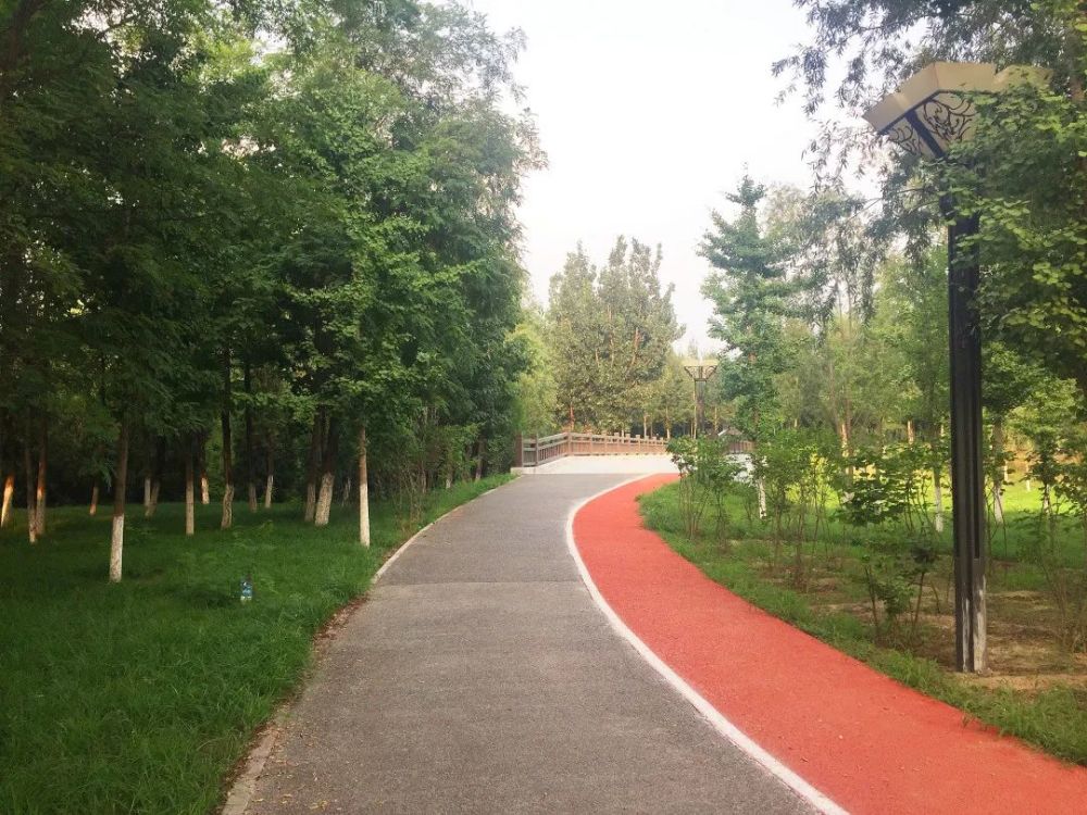 公园|朝阳这里又多一个免费遛娃的宝藏级公园～人少还有很多娱乐设施！