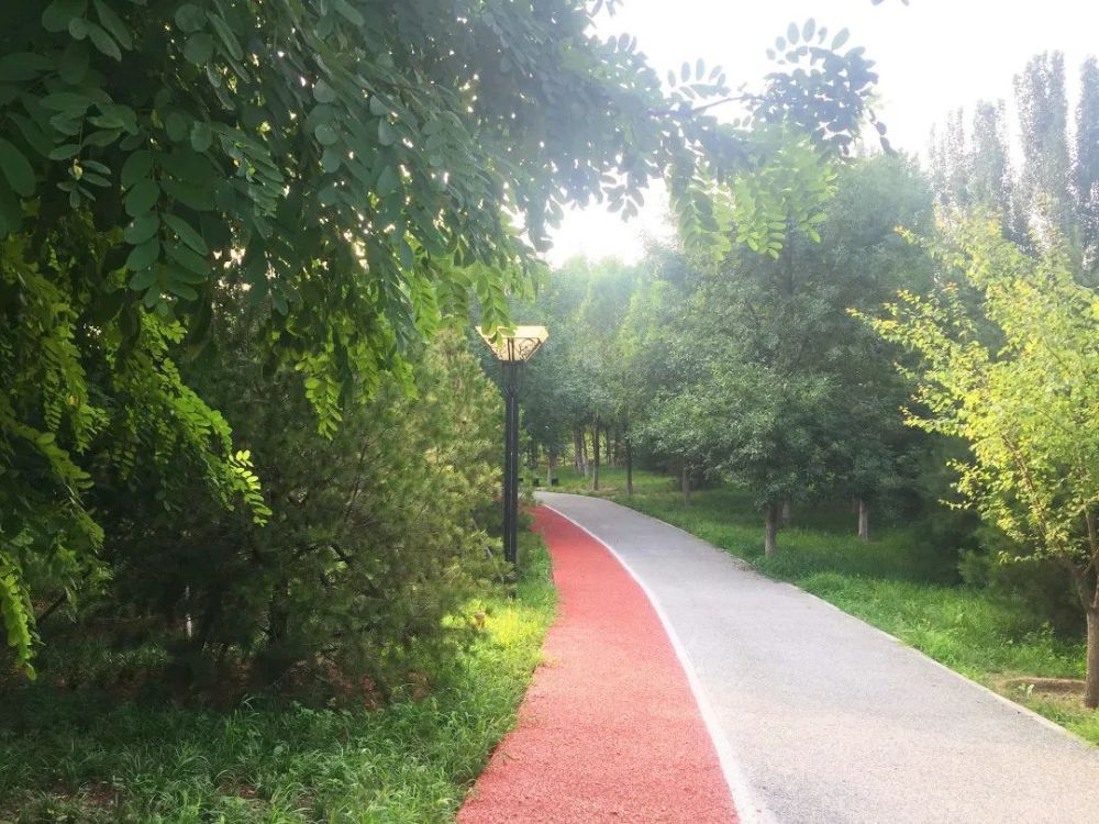 公园|朝阳这里又多一个免费遛娃的宝藏级公园～人少还有很多娱乐设施！