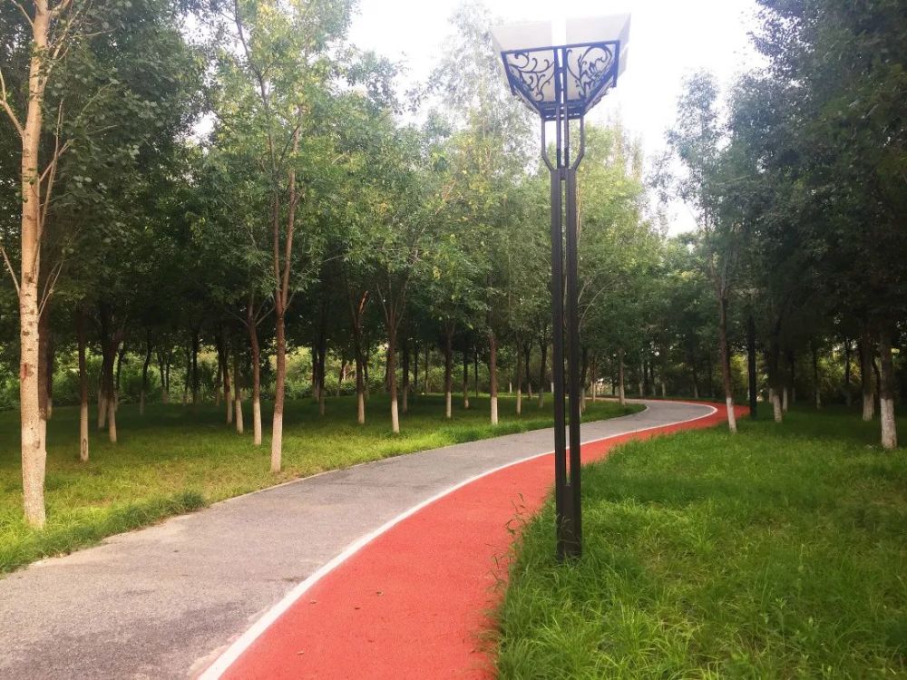 公园|朝阳这里又多一个免费遛娃的宝藏级公园～人少还有很多娱乐设施！