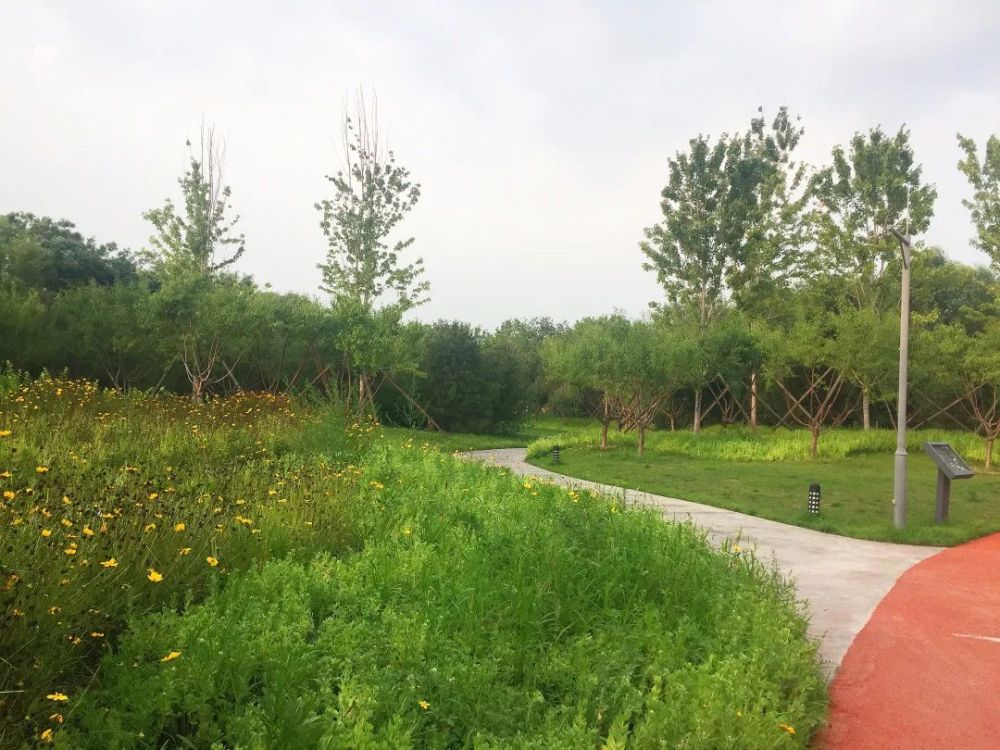 公园|朝阳这里又多一个免费遛娃的宝藏级公园～人少还有很多娱乐设施！