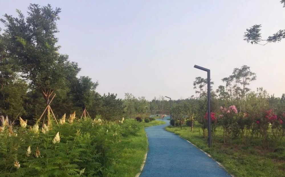 公园|朝阳这里又多一个免费遛娃的宝藏级公园～人少还有很多娱乐设施！