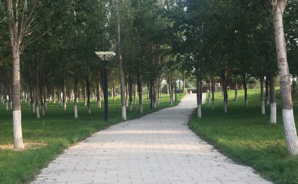 公园|朝阳这里又多一个免费遛娃的宝藏级公园～人少还有很多娱乐设施！