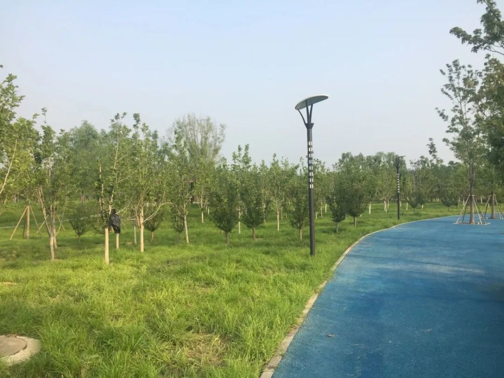 公园|朝阳这里又多一个免费遛娃的宝藏级公园～人少还有很多娱乐设施！