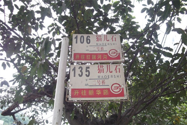 央视主播读错字 将古冶读成古治 让人情何以堪 腾讯新闻