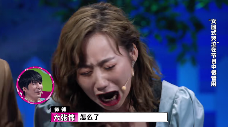 认真的嘎嘎|《认真的嘎嘎》内涵张艺凡 满屏都是尴尬 大张伟救场情商太高了