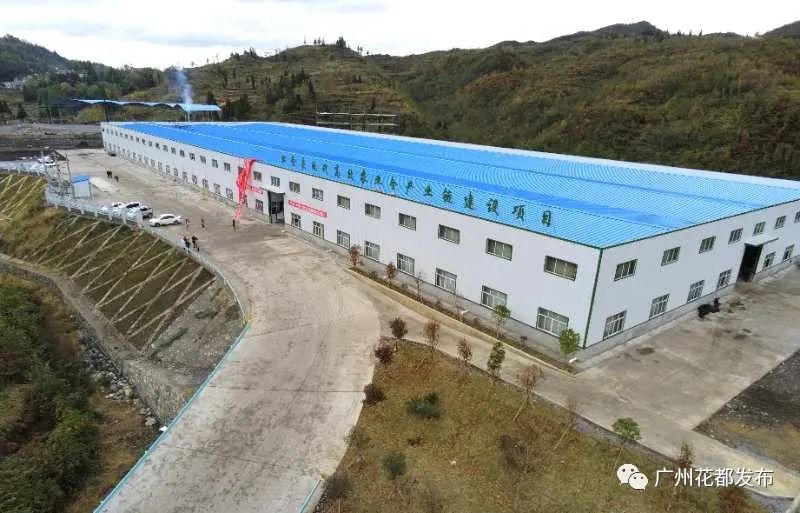国家扶持农村致富项目贵州最新消息(国家扶持农村致富项目贵州最新消息新闻)