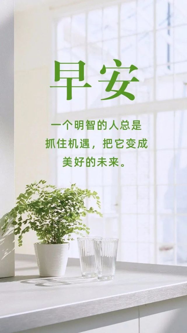 早安正能量阳光的励志句子,早安暖心的正能量语录!|正能量