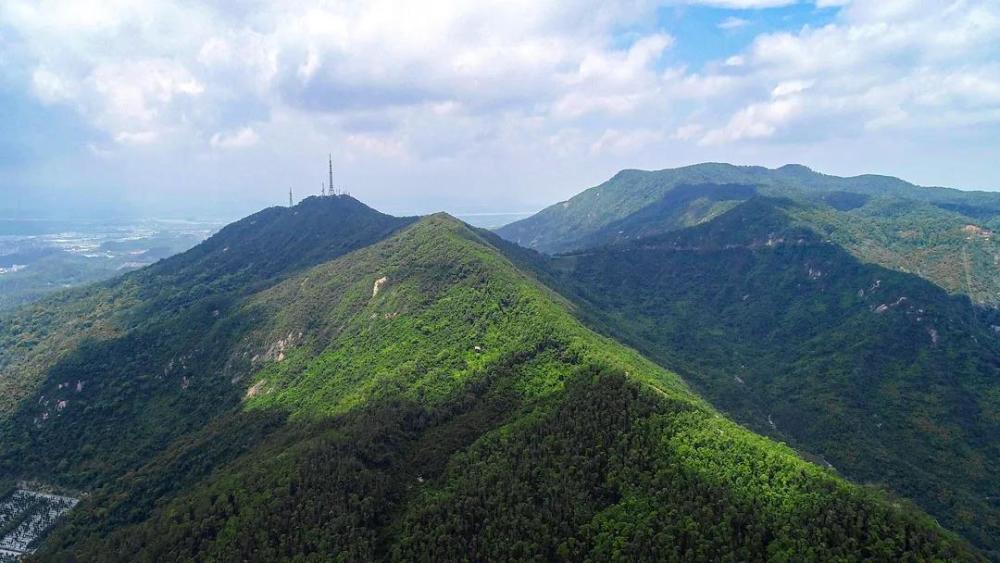仙 鞋 飞 升李之先羽化三天之后,竟然有从南恩州(今阳江市一带)来的人