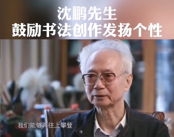 书法|沈鹏：我们的书法还不够多元化；苏士澍：书法艺术绝不可胡闹