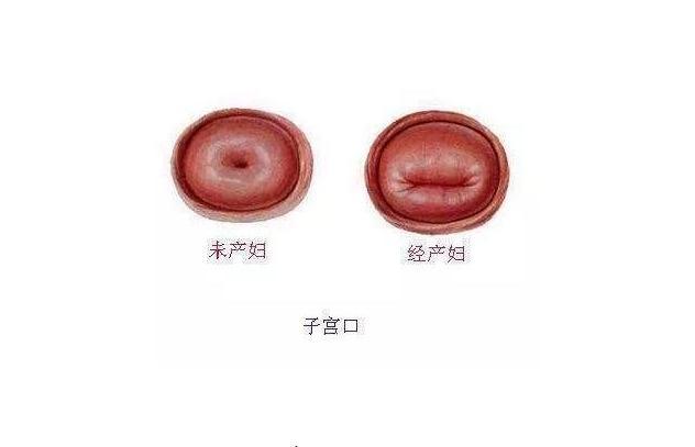 孕妈顺产4小时生下双胞胎医生多嘴一句话让丈夫执意离婚