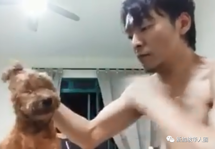 新加坡今日话题，男子残忍虐待宠物狗，苟延残喘剩最后一口气！_腾讯新闻