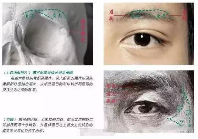 眉毛|眼睛无神？嘴唇不够饱满？最难画的眼睛嘴唇北京画室详解送你