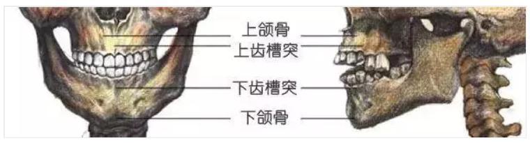 眉毛|眼睛无神？嘴唇不够饱满？最难画的眼睛嘴唇北京画室详解送你