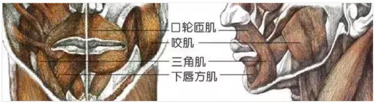眉毛|眼睛无神？嘴唇不够饱满？最难画的眼睛嘴唇北京画室详解送你