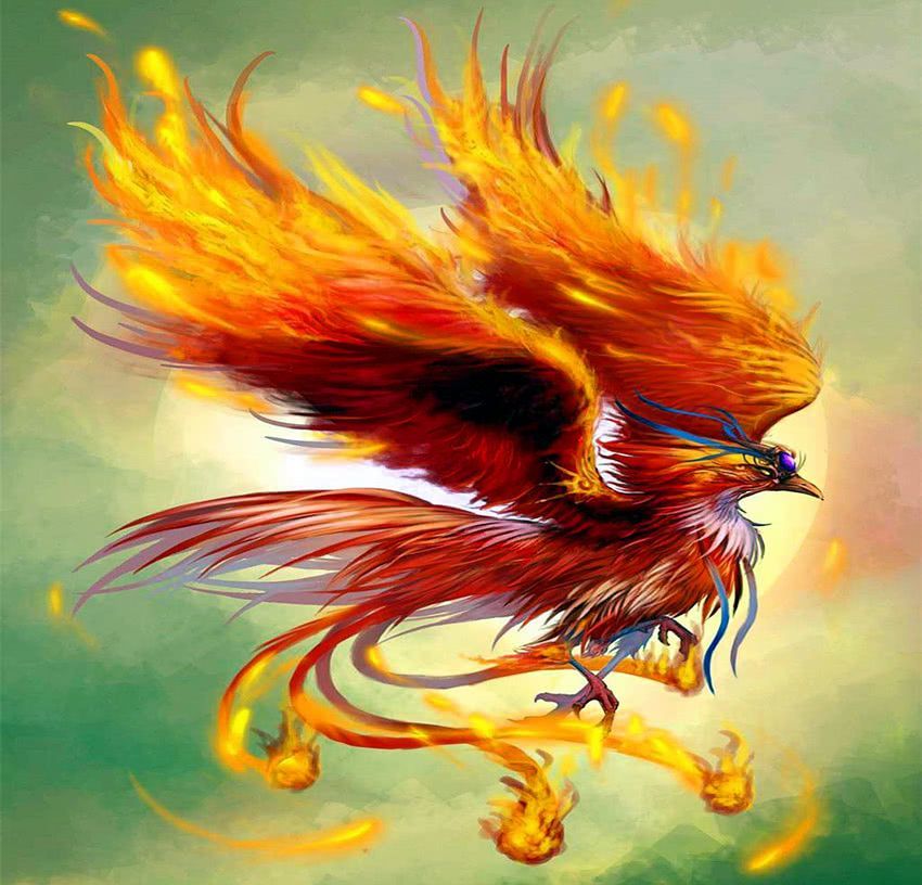 羽族中有三百六十多种种类,凤凰为其长,是羽族的典型代表.